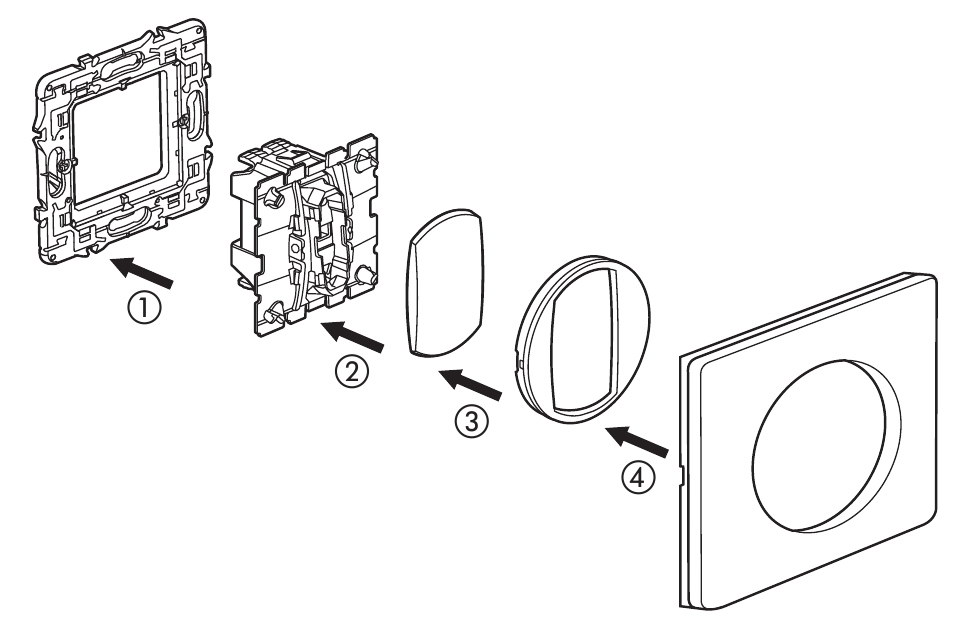 celiane-sostav.jpg celiane-sostav.jpg