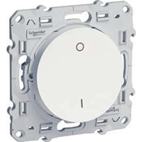 Выключатель 1кл 2-х полюсной - белый, Schneider Odace